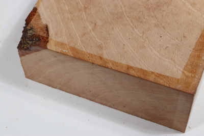 Klotz Hainbuche Maser 205x160x65mm - HainB0179