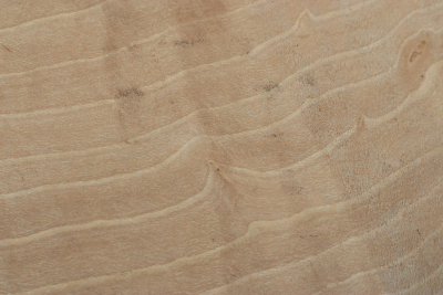 Block Hornbeam Burl 210x175x63mm - GestBu0632