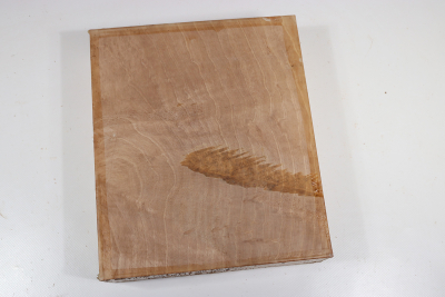 Klotz Hainbuche Maser 250x210x63mm - HainB0178