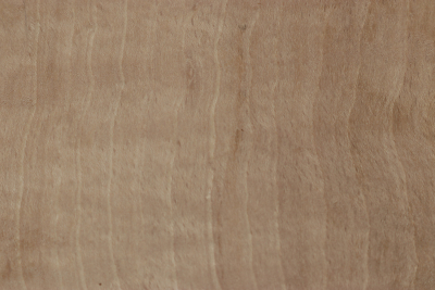 Klotz Hainbuche Maser 250x210x63mm - HainB0178