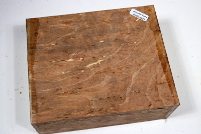 Block Hornbeam Burl spalted 175x145x65mm - GestBu0623
