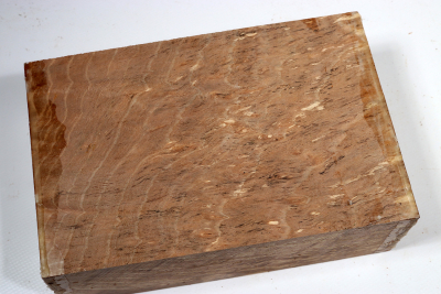 Block Hornbeam Burl spalted 190x125x65mm - GestBu0622