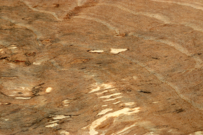 Block Hornbeam Burl spalted 190x125x65mm - GestBu0622