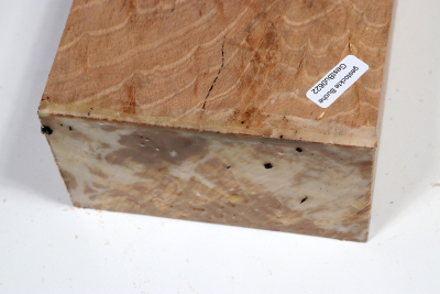 Block Hornbeam Burl spalted 190x125x65mm - GestBu0622