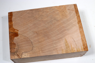 Block Hornbeam Burl spalted 190x135x65mm - GestBu0625