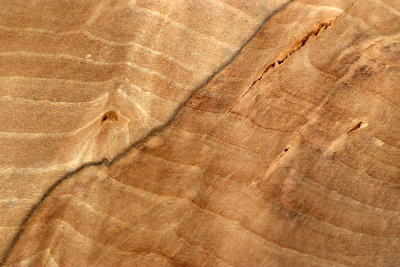 Block Hornbeam Burl spalted 190x135x65mm - GestBu0625