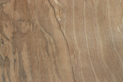Klotz Hainbuche Maser, gestockt 250x230x65mm - GestBu0631