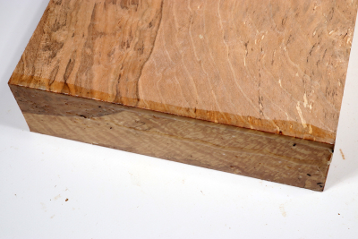 Klotz Hainbuche Maser, gestockt 250x230x65mm - GestBu0631