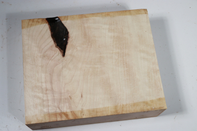 Block Hornbeam curly 205x170x60mm - HainB0145