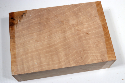 Klotz Hainbuche, gestockt 215x145x65mm - GestBu0621