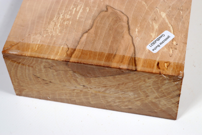 Klotz Hainbuche, gestockt 215x145x65mm - GestBu0621