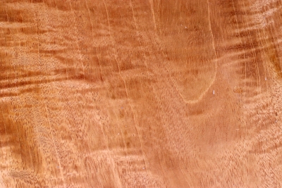 Block Honduran Mahogany / Swietenia curly 230x230x50mm - Swiet0004