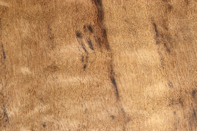 Klotz Imbuia Maser 175x175x75mm - ImbuM0441