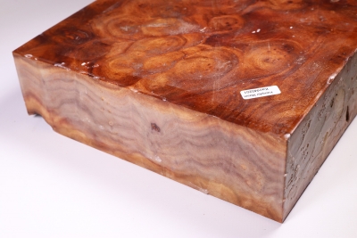 Block Camphor Burl 285x230x70mm - KamM0201