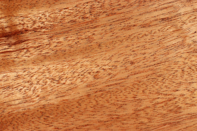 Klotz Khaya Mahagoni 275x185x50mm - Khay0074