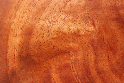 Klotz Khaya Mahagoni 310x265x50mm - Khay0072