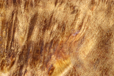 Klotz Laurel Maser 220x220x60mm - LauM0226