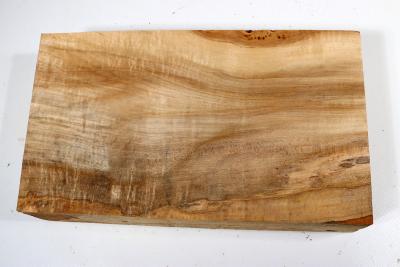 Block Linden Tree Burl 280x160x58mm - LinM0181