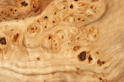 Block Linden Tree Burl 280x160x58mm - LinM0181
