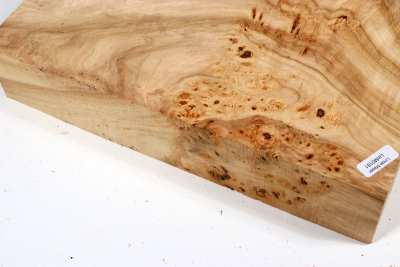 Block Linden Tree Burl 280x160x58mm - LinM0181