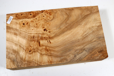Block Linden Tree Burl 280x160x58mm - LinM0181