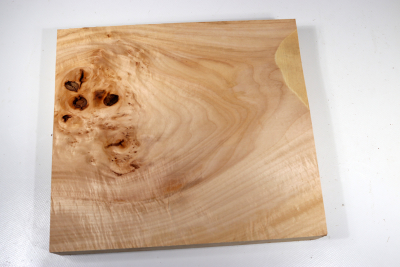 Block Linden Tree Burl 280x250x45mm - LinM0136