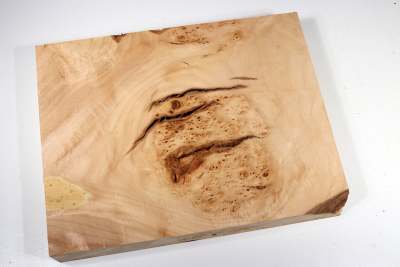 Block Linden Tree Burl 305x235x45mm - LinM0131