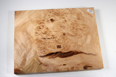 Block Linden Tree Burl 305x235x45mm - LinM0131