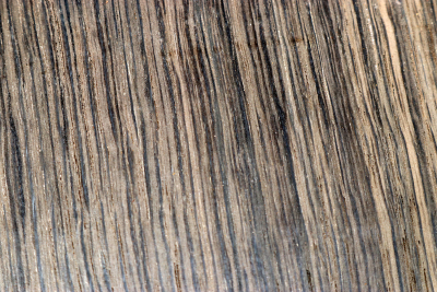 Block Bog Oak 165x130x45mm - Moor0291