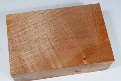 Klotz Muschelahorn 175x110x58mm - Ahorn0357