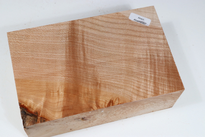 Klotz Muschelahorn 175x110x58mm - Ahorn0357