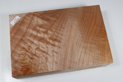 Klotz Muschelahorn 220x145x58mm - Ahorn0249