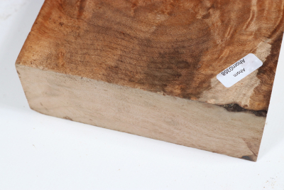 Klotz Muschelahorn 235x135x50mm - Ahorn0358
