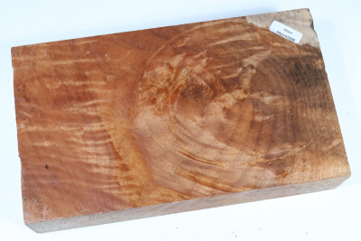 Klotz Muschelahorn 235x135x50mm - Ahorn0358