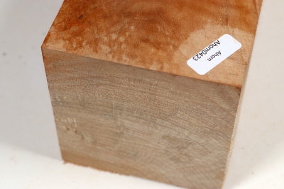 Klotz Muschelahorn 260x95x90mm - Ahorn0423