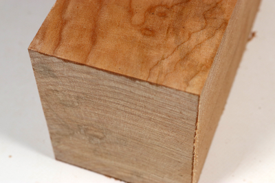Klotz Muschelahorn 260x95x90mm - Ahorn0423