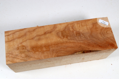 Klotz Muschelahorn 260x95x90mm - Ahorn0423