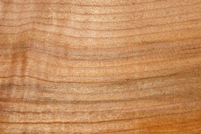 Block Qulited Maple plain 300x145x58mm - Ahorn0409