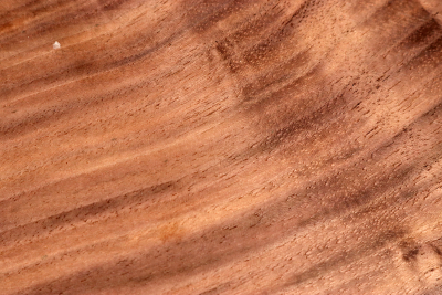 Block Walnut 225x93x60mm - NusBM1281