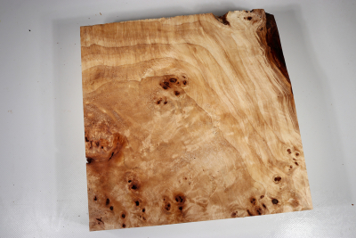 Block Poplar Burl 250x250x65 mm  - PapM0221