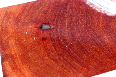 Klotz Red Resin Maser 103x75x55mm - RedRe0290