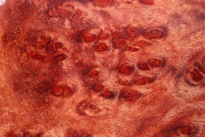 Block Red Resin Burl 108x105x55mm - RedRe0273