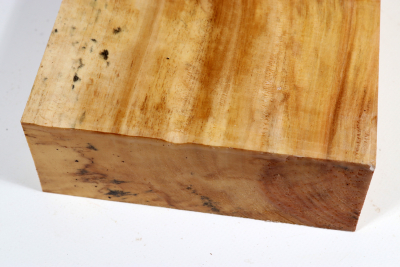 Klotz Rosskastanie 220x155x60mm - Roka0397