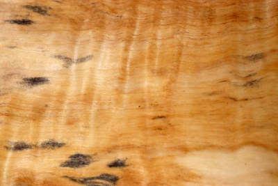 Klotz Rosskastanie 220x190x60mm - Roka0382