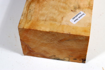 Klotz Rosskastanie 240x100x70mm - Roka0480