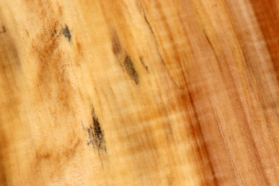 Klotz Rosskastanie 240x170x60mm - Roka0400