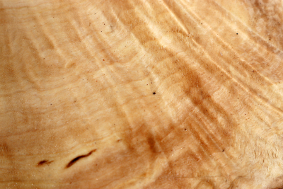 Klotz Rosskastanie 260x155x70mm - Roka0455
