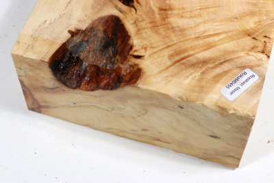 Klotz Rosskastanie 260x155x70mm - Roka0455