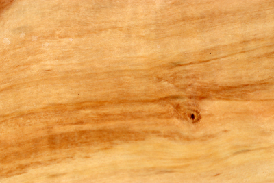 Klotz Rosskastanie 270x110x60mm - Roka0396