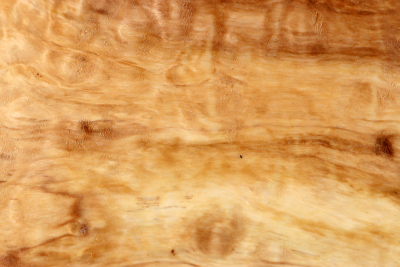 Klotz Rosskastanie 305x110x75mm - Roka0458
